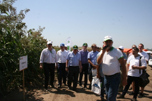 НАПСКИП провела день поля в Усть-Лабинском районе Кубани