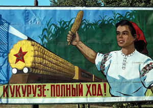 Кукуруза в России