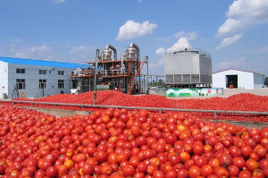 Завод по переработке томатов