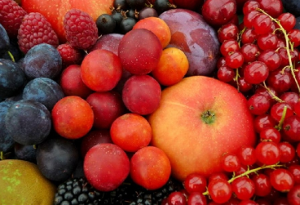 Конференция по плодовым и ягодным