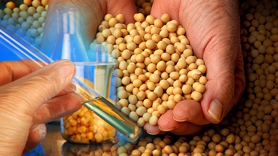 Китай становится «GMO free»
