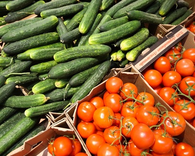 Подпрограмма селекции и семеноводства овощей