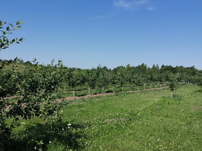 Садоводческая отрасль в Псковской области