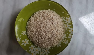 Новые сорта многолетнего риса